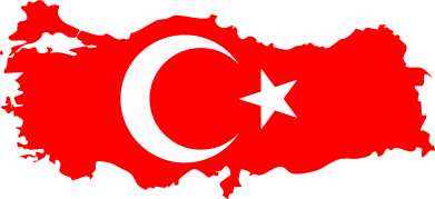 Принт Чоловіча худі Turkey, Фото № 2 - FATLINE