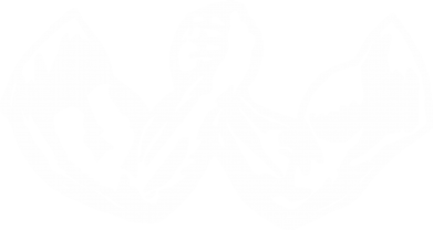 Рушник 50х100 см ArmSport 2