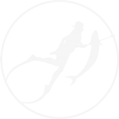 Подводная охота