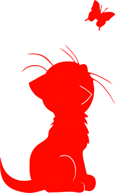 Котик с бабочкой