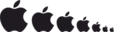 Принт Блокнот А5 Apple Evolution, Фото № 2 - FATLINE