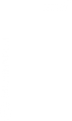 Чехол из раздела Subaru Subaru STI Logo для Apple iPhone 14 2