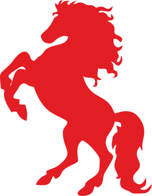 Дитяча футболка Кінь 2