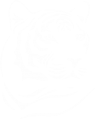 Морда тигра