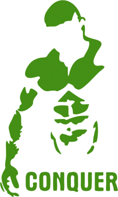 Шеврон закругленный прямоугольный Conquer 2