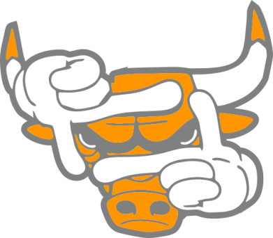 Chicago Bulls бик