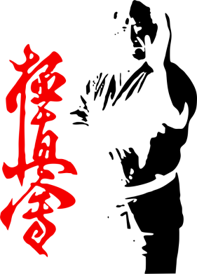 Кружка 320ml Kyokushin Kanku Master 2