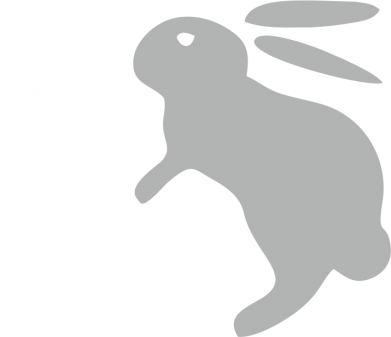 Женская футболка Кролики 2