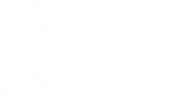 Принт Дитяча футболка Jaguar, Фото № 2 - FatLine