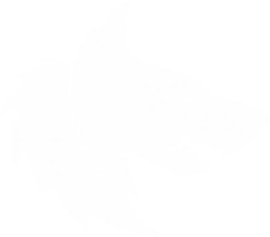 Чехол из раздела Warhammer 40 000 Warhammer Space Wolf для Xiaomi Redmi 10c 2