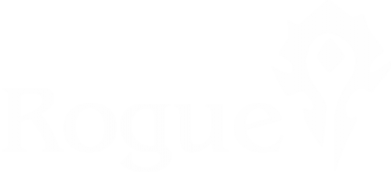 Принт Чоловіча худі Rogue Орда, Фото № 2 - FATLINE