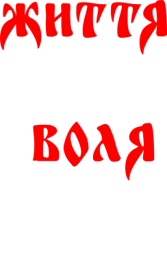 Шеврон прямоугольный Життя не має ціни, а Воля дорожча за життя! 2