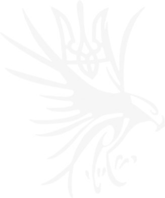 Сокіл та герб України