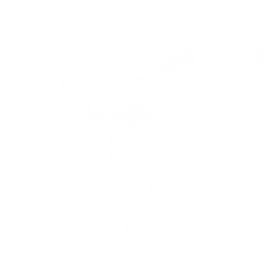 Козак з шаблями