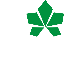 Штаны I love Kiev - с листиком 2