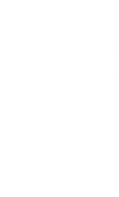 Лице козака