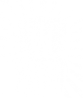 українське Військо