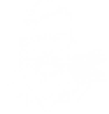 Лице українського козака