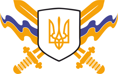 Футболка оверсайз FATLINE Герб та мечі 2