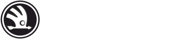 Принт Рушник 50х100 см Skoda logo, Фото № 2 - FATLINE