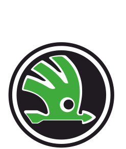 Мужские трусы Skoda 2
