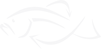 Женские трусы Силуэт рыбы 2