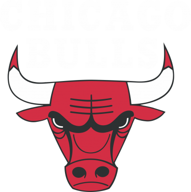 Принт Женская худи Chicago Bulls Classic, Фото № 2 - FatLine