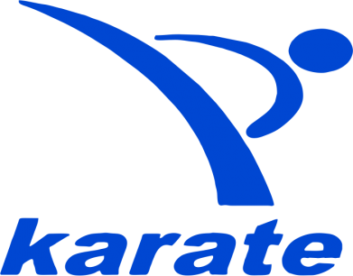 Кружка 320ml Karate 2