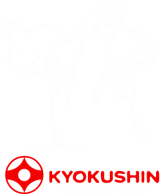 Рушник 50х100 см Kyokushin Full Contact 2