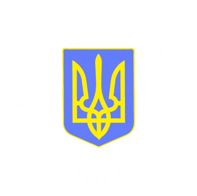 Футболка с длинным рукавом МВС України 2