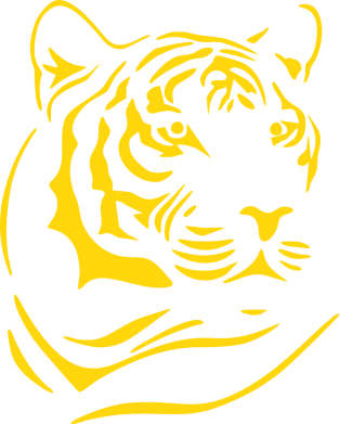 Женская футболка Морда тигра 2