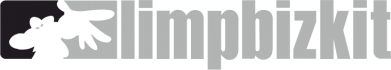 Женская футболка Limp Bizkit 2