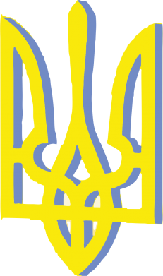 Штани дитячі преміум FATLINE Двокольоровий герб України 2