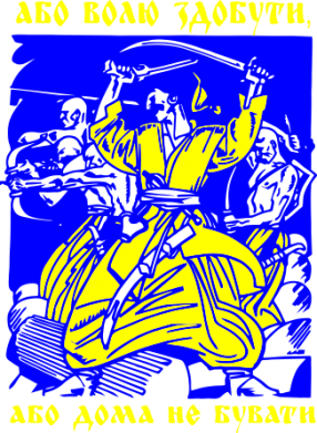 Чоловіча футболка Stedman Або волю здобути, або вдома небувати 2