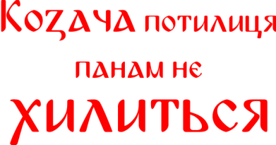 Термобутылка Viano Козача потилиця панам не хилиться 2