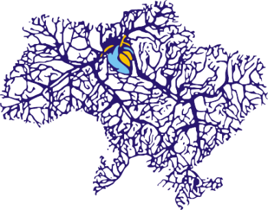 Кружка 320ml Карта України з серцем 2