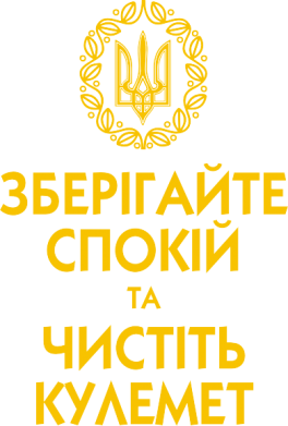 Детская футболка Зберігайте спокій та чистіть кулемет 2