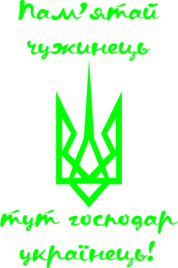 Детская футболка Пам'ятай чужинець - тут господар Українець! 2