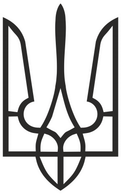 Кепка Герб України (двокольоровий) 2