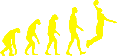 Мужская футболка Stedman Basketball Evolution 2