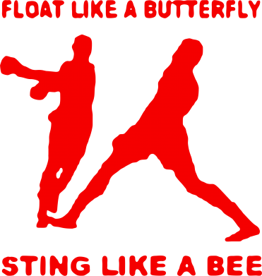 Кружка с ручкой "карабин" Ali: Float Like A Butterfly 2