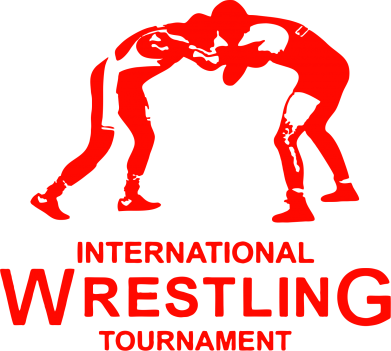 Свитшот унисекс TM Gildan International Wrestling Tournament 2
