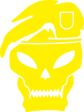 Кепка Call of Duty Black Ops logo 2