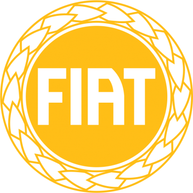 Худі утеплене Fiat logo 2
