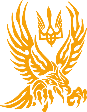 Майка чоловіча Птах та герб 2