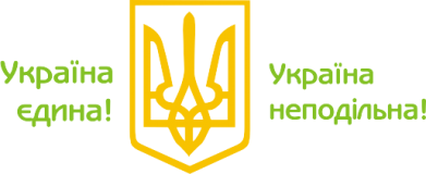 Дитяча футболка Україна неподільна! 2