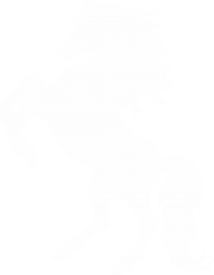 USB-запальничка імпульсна Кінь 2