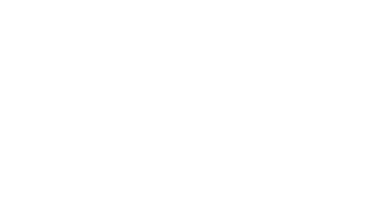 Термос для еды Кот Саймона (Аи-95) Simon Cat 2