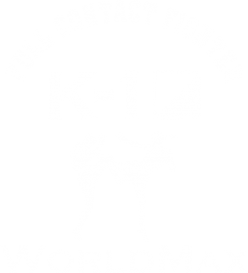 Чохол з розділу Бокс/Кікбоксинг Full contact fighter K-1 Worldmax для Oppo K9 2