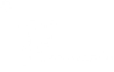 Принт Майка-тельняшка Taekwondo, Фото № 2 - FatLine